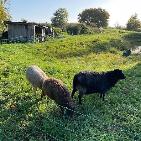 Ferienhaus Raabe Splietsdorf Luaran gambar