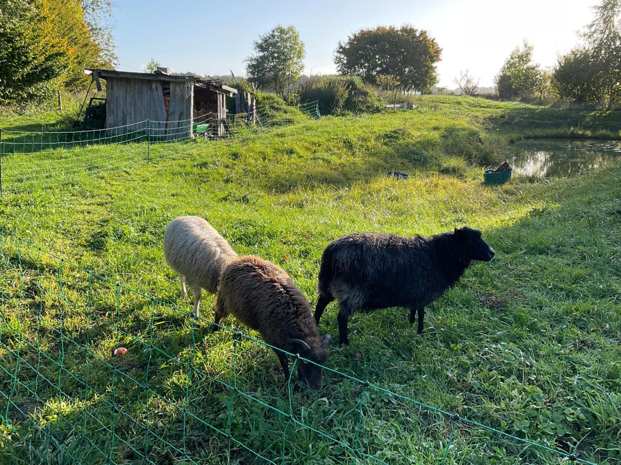 Ferienhaus Raabe Splietsdorf Luaran gambar
