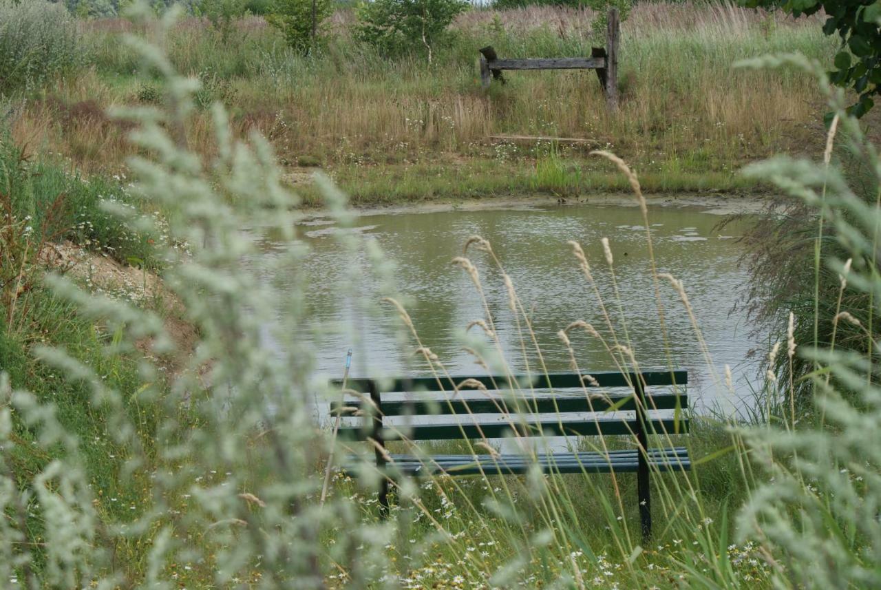 Ferienhaus Raabe Splietsdorf Luaran gambar